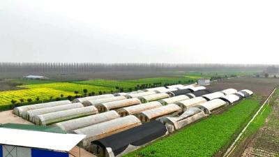 助力乡村振兴！为江陵“四大共富”项目提供资金保障