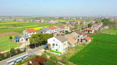 甜蜜颜闸：全国文明村、省级生态村