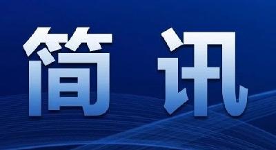 罗勇调研沙岗镇巩固拓展脱贫攻坚成果同乡村振兴有效衔接工作