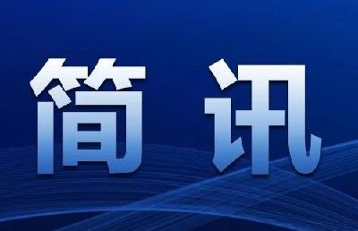 县人大常委会视察生命守护  和平安畅通工程建设情况  