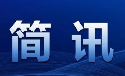 部门联动整治规范成品油市场