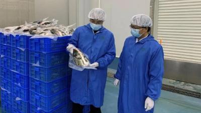 热心贴心服务，税惠涉农企业