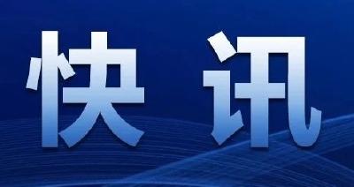 县委平安江陵建设领导小组2023年第一次会议召开
