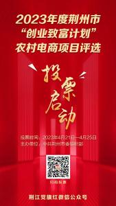 投票启动！快来为江陵农村电商项目投票