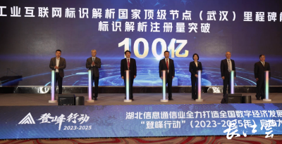 里程碑！武汉这一领域累计标识注册量突破百亿