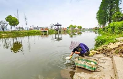古渠复清