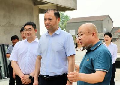 全运宝调研白马寺镇工作