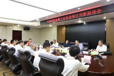 中国有色金属工业协会来江陵考察
