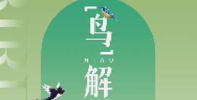 生物多样性之美 | “鸟”解武汉
