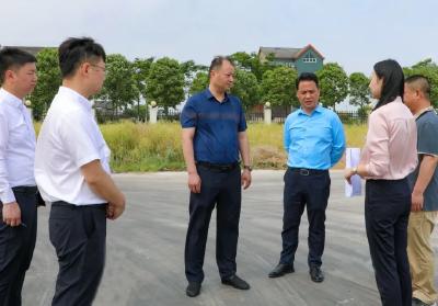 全运宝调研沙岗镇全域国土整治工作