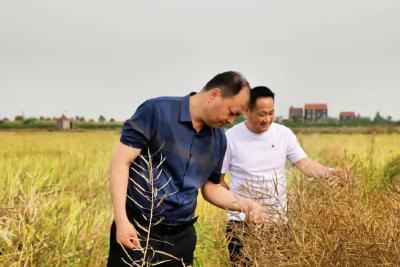 全运宝到普济镇调研