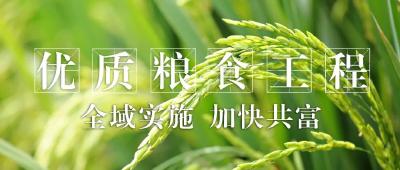 合肥钢贸商会来江陵考察
