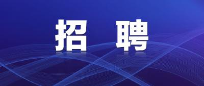 招聘！“薪”机遇期待遇“荐”你