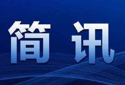 江陵县召开市域社会治理现代化试点建设暨“平安三到村(居)”视频推进会议