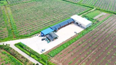 国道边的乡村大排档，党员村民共建共享