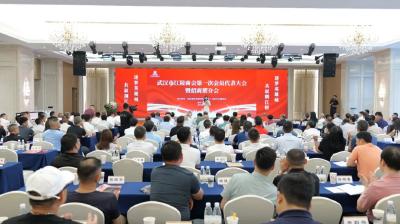 武汉市江陵商会成立