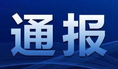省纪委监委通报