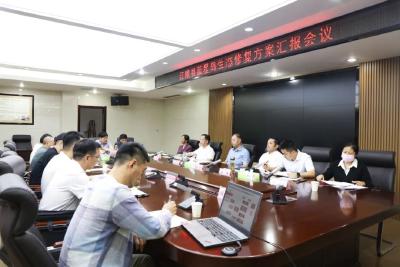 江陵县召开蓝星岛生态修复方案汇报会议