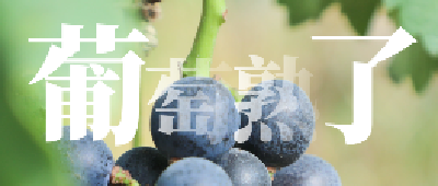 一颗颗夏天的味道，快来采摘吧！