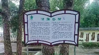 江陵县白马寺镇初级中学：香樟园里话清廉