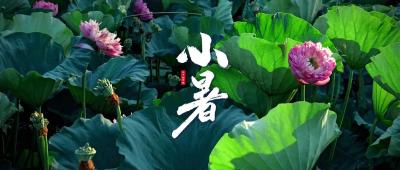 温风至 小暑来
