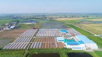 种粮薄利的老难题咋破解？“3010”模式了解一下→