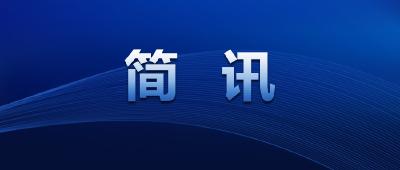 江陵县开展元旦节前文化市场专项整治
