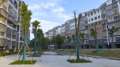 “小而美”感受“微幸福”