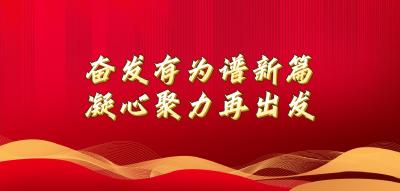 “干在江陵 人大代表在行动”代表履职纪实（四）