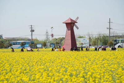 探秘丨春日“寻宝”之旅
