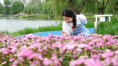 花5分钟拥抱地球！