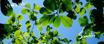 芒种说“芒” 相信土地的力量