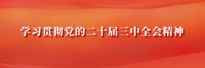 深入学习贯彻党的二十届三中全会精神