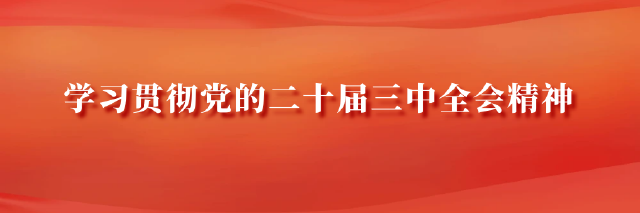 深入学习贯彻党的二十届三中全会精神