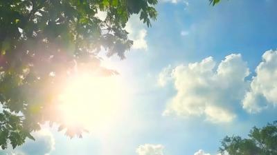 立秋：岁华过半 你好秋天