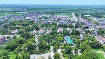 优化营商环境丨三湖管理区：尽心呵护企业健康发展