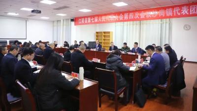 谋良策 话发展 江陵县第七届人民代表大会第四次会议举行分团审议