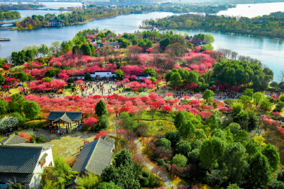 
穿越千年，东坡故里遇见春日盛景