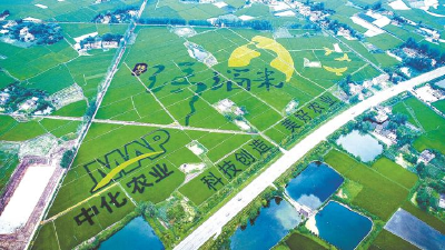 “绿”方法种出“金”果子——枝江市推进循环农业示范区建设
