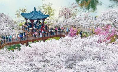 牢记总书记的嘱托丨读书日，读懂湖北这本书