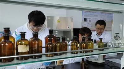 从种业“中国芯”到全球粮安稳 | 鄂州：小稻种闯出大天地