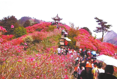 从“网红景点”到“产业支点”！看黄冈“上春山”的流量转化密码