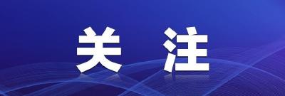 江陵县投资管理委员会2025年第一次主任会议召开