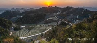 三位劳模三条产业链！利川用“劳模精神”赋能乡村振兴