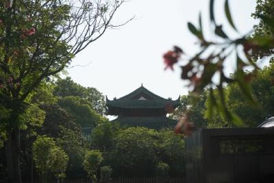 在荆州，又是被博物馆“硬控”的86400秒