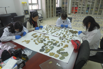 宜昌这12个字，已被研究了52年......