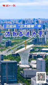从“三大精神”中汲取奋进力量，湖北日报连发三论！