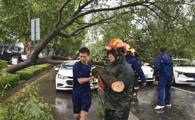 44道预警“叫应”关键部门160余次——宜昌气象预警为防汛“零伤亡”提供关键决策