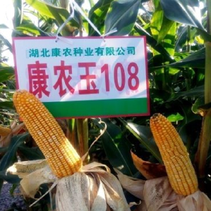 握紧自己的农业“芯片”—宜昌把科技“种”进种子做成产业