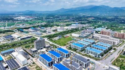 上半年咸宁返乡创业主体劲增六成 四代企业家把深圳工厂“打包”回乡